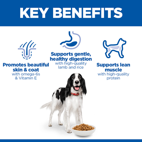 Hills Science Plan Medium Adult Dog Food with Lamb & Rice