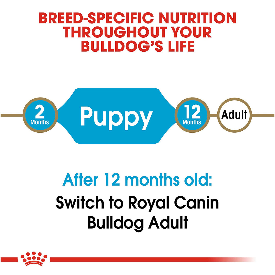 Royal Canin Bulldog Puppy Dog Food - PetWorld