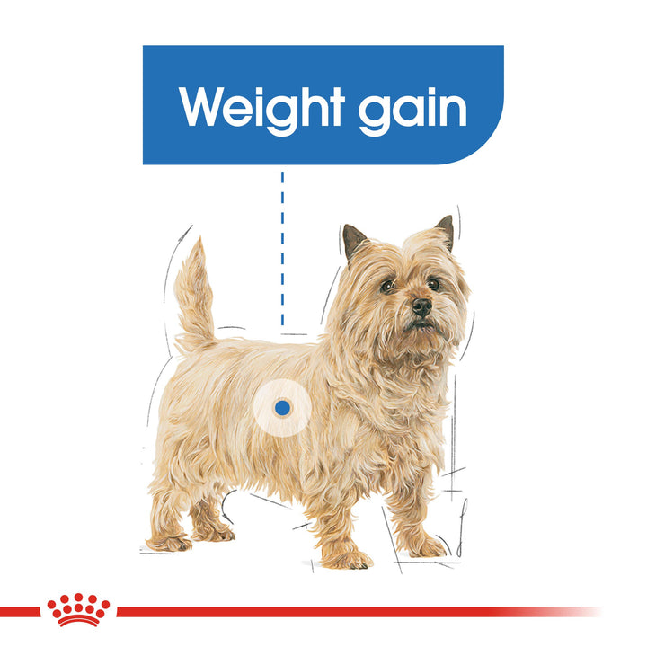 Royal Canin Light Weight Care graphic: dog with a tendency to weight gain