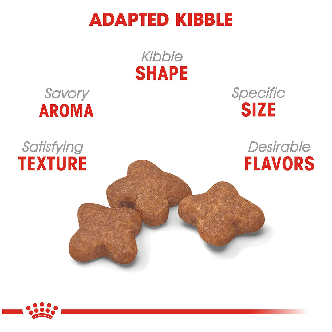 Royal Canin Mini 8+ Mature Dog Food - PetWorld