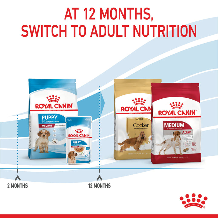 Royal Canin Medium Puppy graphic: at 12 months switch to Medium Adult nutrition