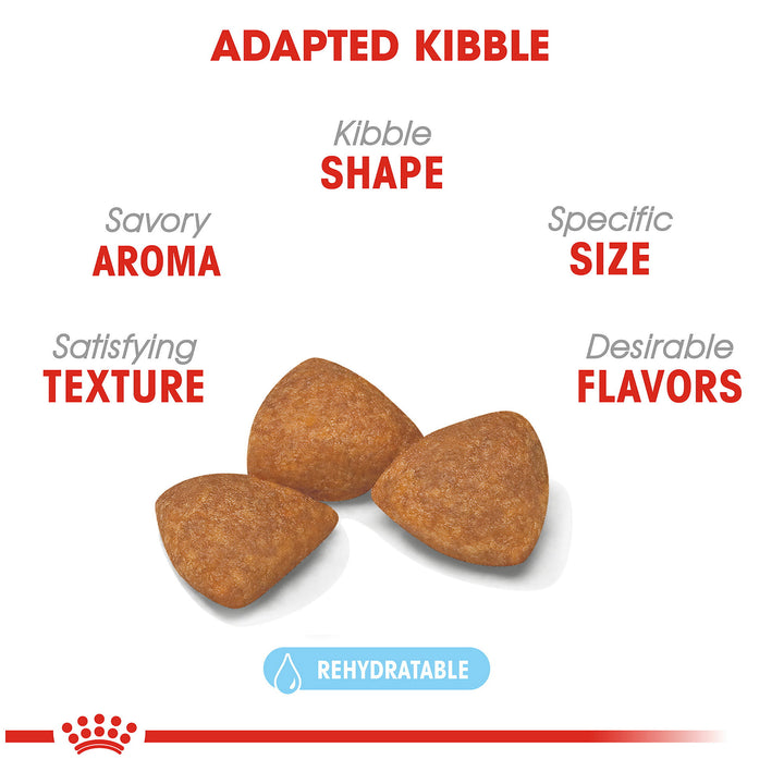 Royal Canin Mini Ageing 12+ years 1.5kg - PetWorld