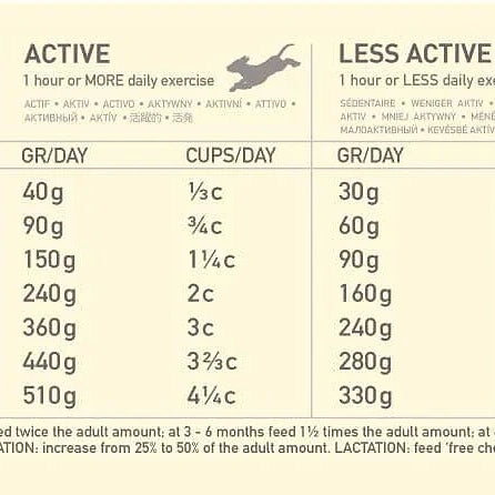 ACANA Pacifica Dry Dog Food bag featuring wild-caught fish formula for healthy skin, coat, and muscle support