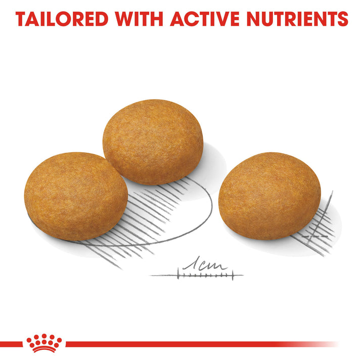 Royal Canin Maxi Dermacomfort kibble tailored with active nutrients