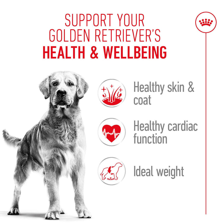 Royal Canin Golden Retriever Adult benefits: healthy skin and coat, cardiac function, ideal weight