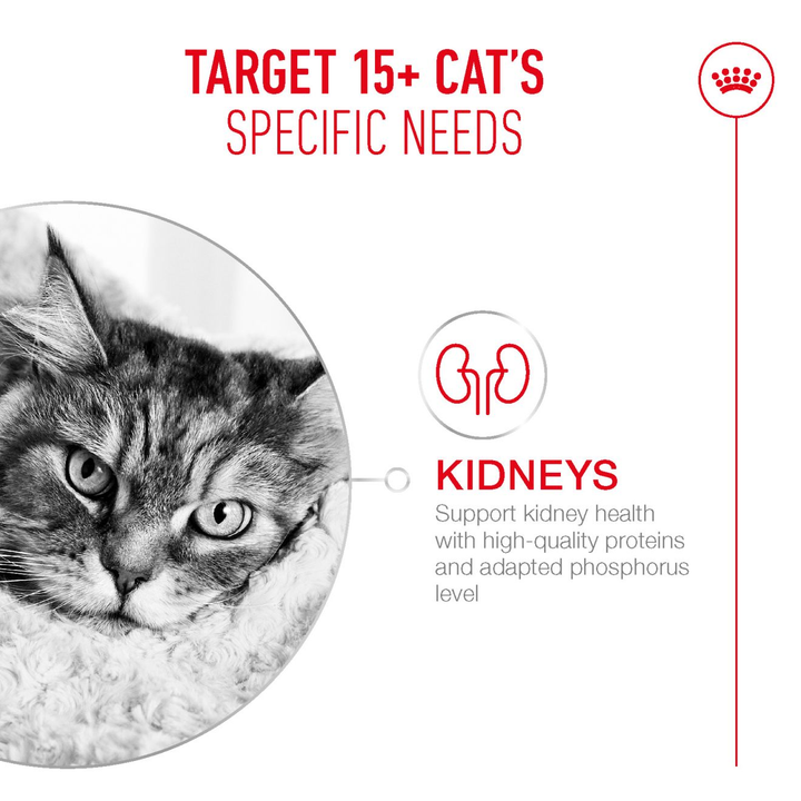 Royal Canin Ageing 15+ supports kidney health in cats over 15