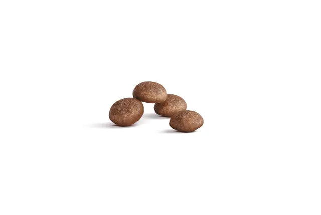 Royal Canin Ageing 15+ Cat Food
