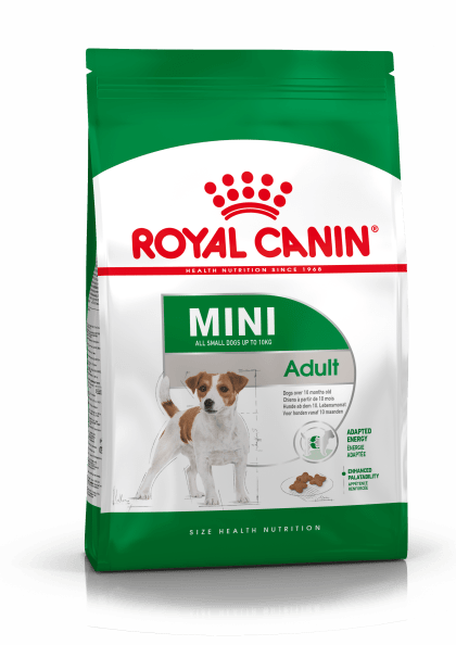 Best soft dog food for older small dogs clearance