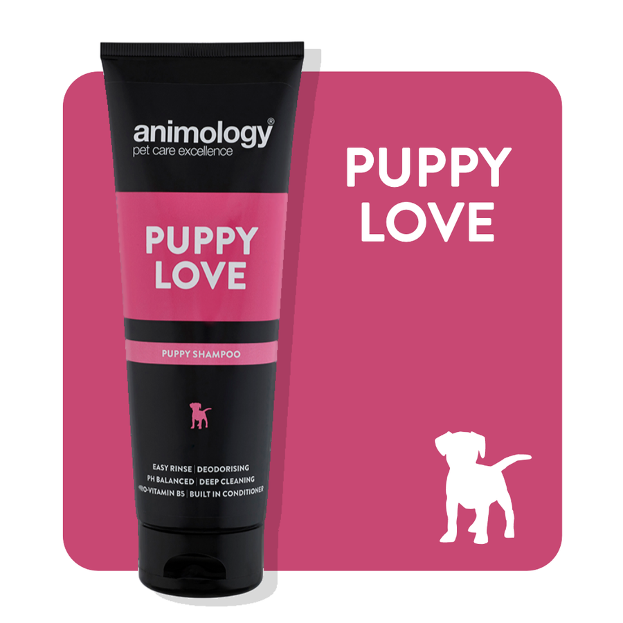 animology puppy love dog shampoo 250ml