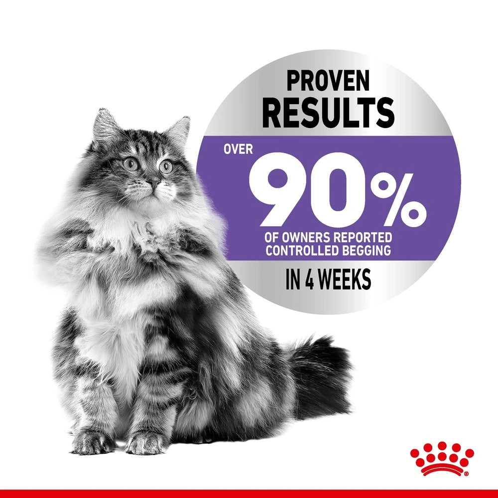 Royal Canin Appetite Control Wet Cat Food pouch for adult cats