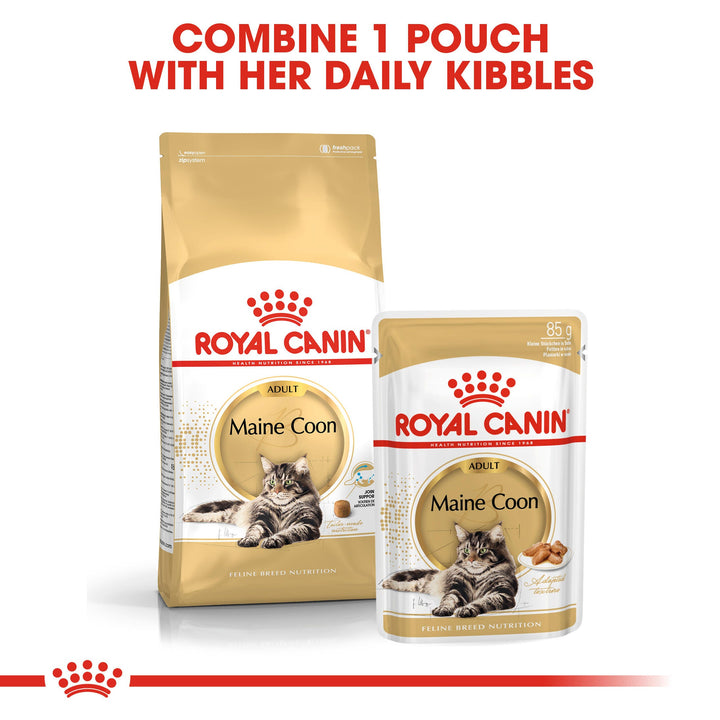 Royal Canin Maine Coon Adult dry food with Maine Coon wet pouch for mixed feeding