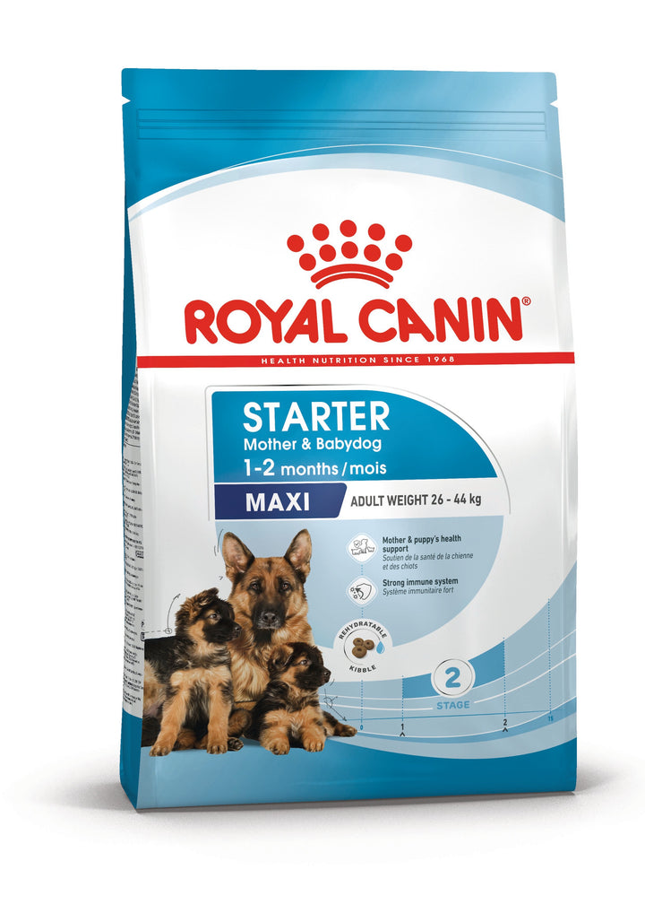 Royal Canin Maxi Starter Mother and Babydog dry dog food bag, front of pack