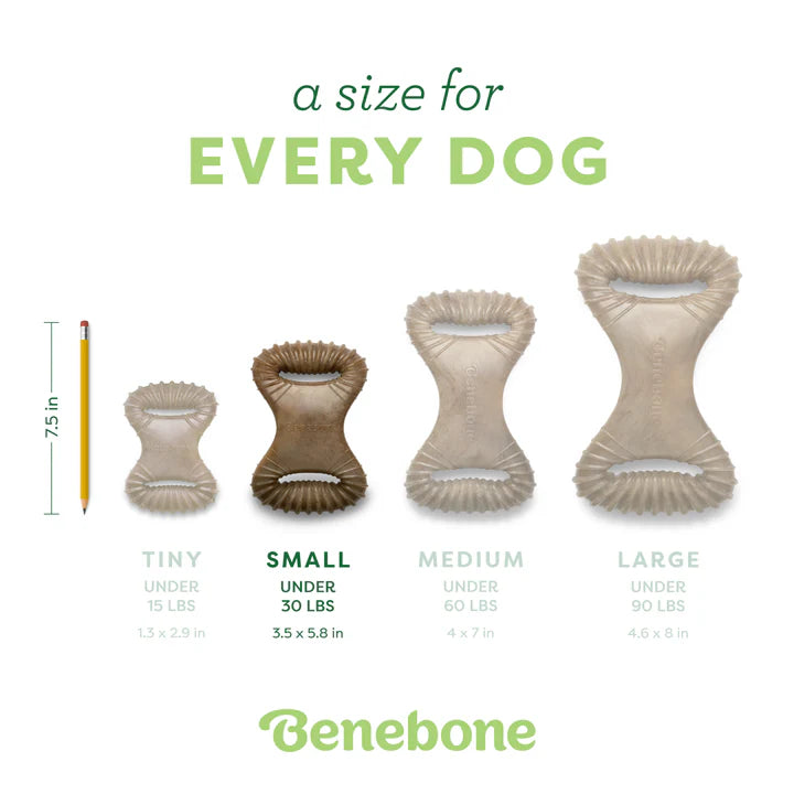 Benebone Dental Chew Bacon