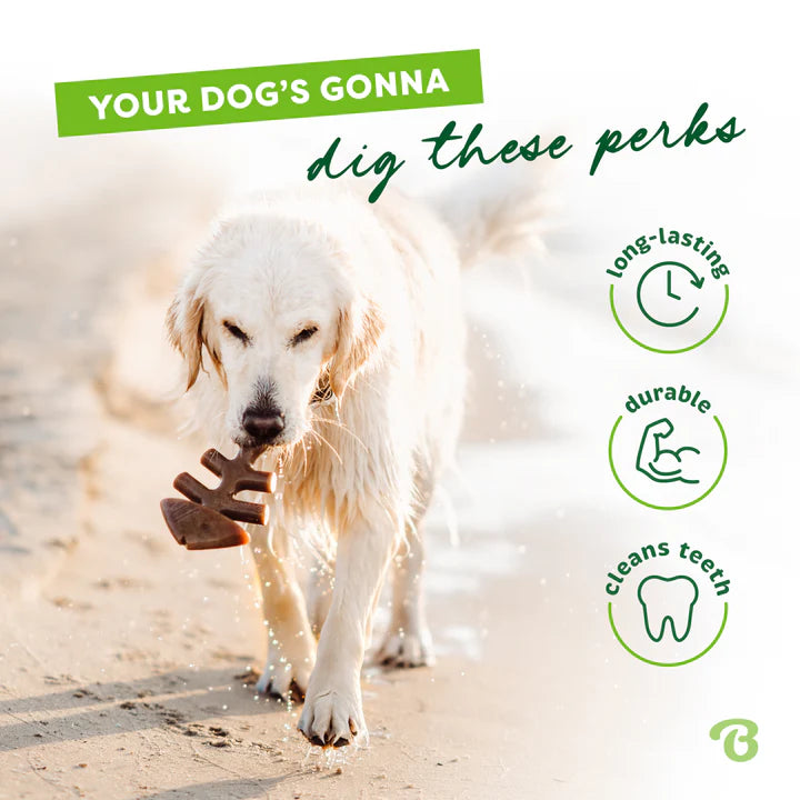 Benebone Salmon Fishbone