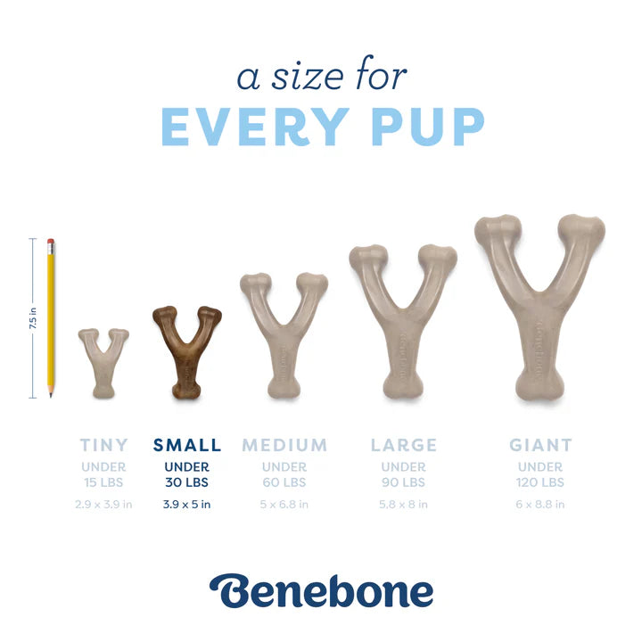 Benebone Puppy Wishbone Bacon