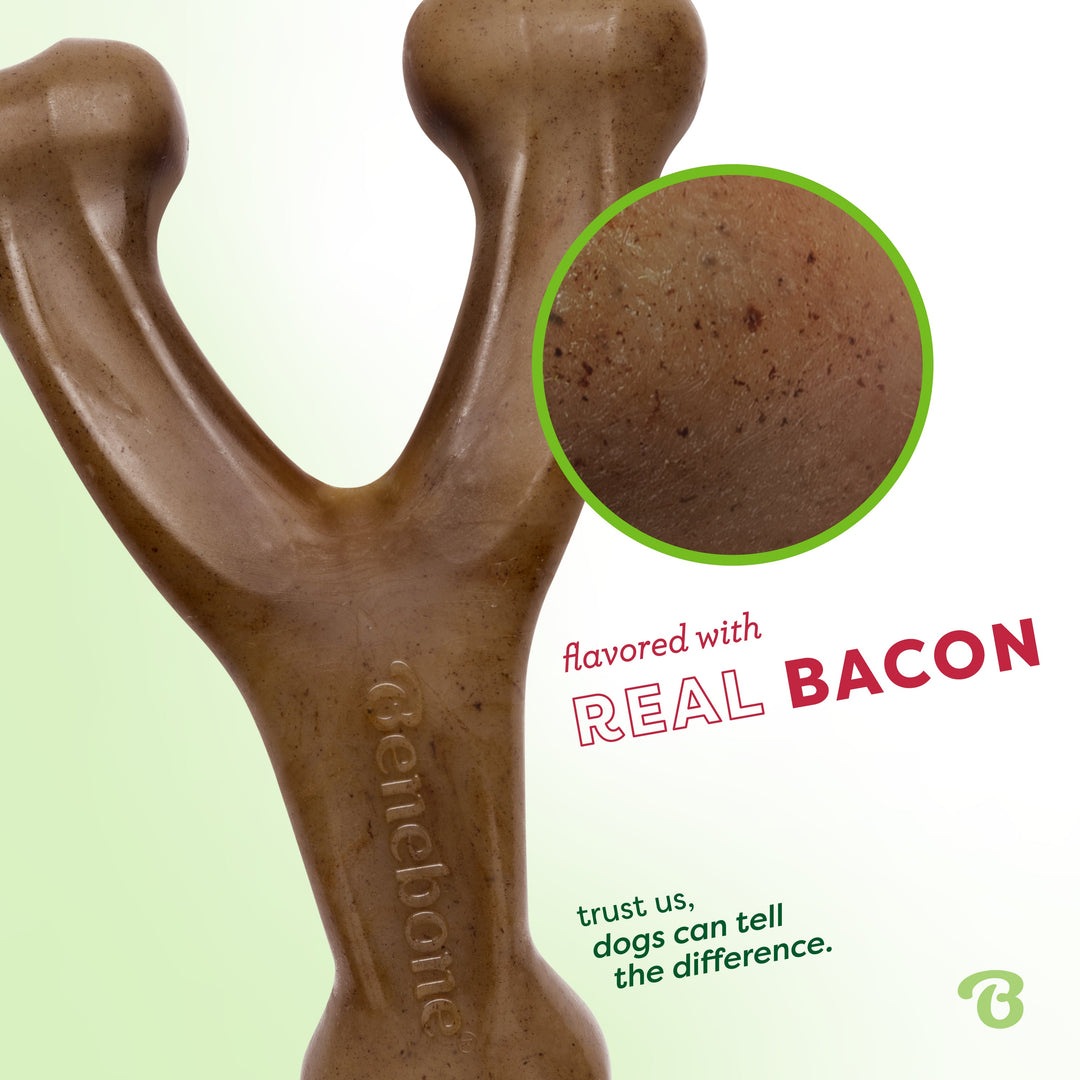 Close up of Benebone Wishbone showing real bacon flavour flecks in the nylon