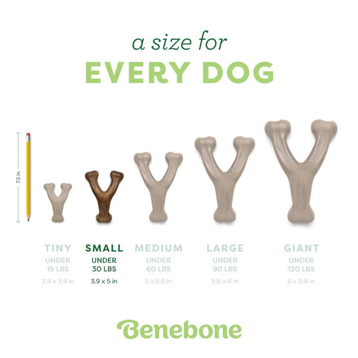 Benebone Wishbone Chicken Dog Chew
