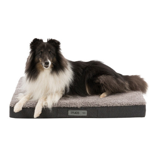 bendson vital dog mattress