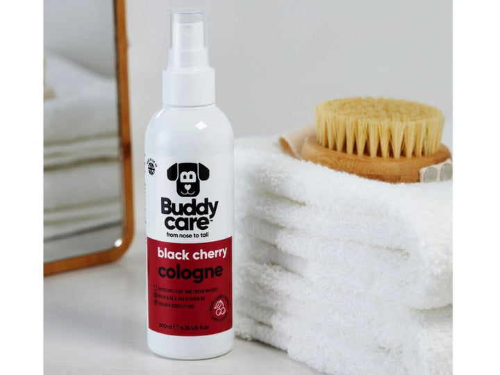 Buddycare 200ml Cologne Black Cherry