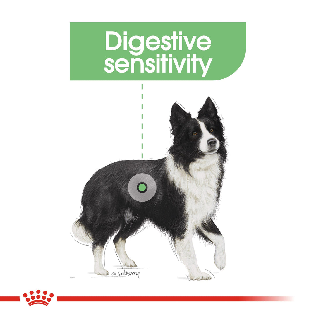 Royal Canin Medium Digestive Care for medium dogs with digestive sensitivity