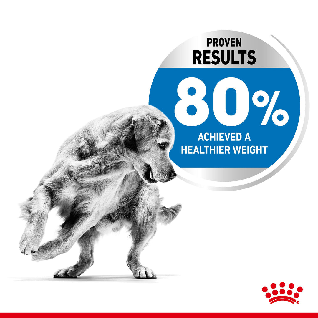 Royal Canin Medium Light Weight Care proven results: 80% achieved a healthier weight