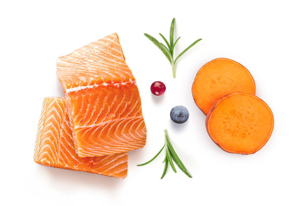 Grandorf Fresh Salmon key ingredients: fresh salmon fillet, sweet potato, cranberry, blueberry and rosemary