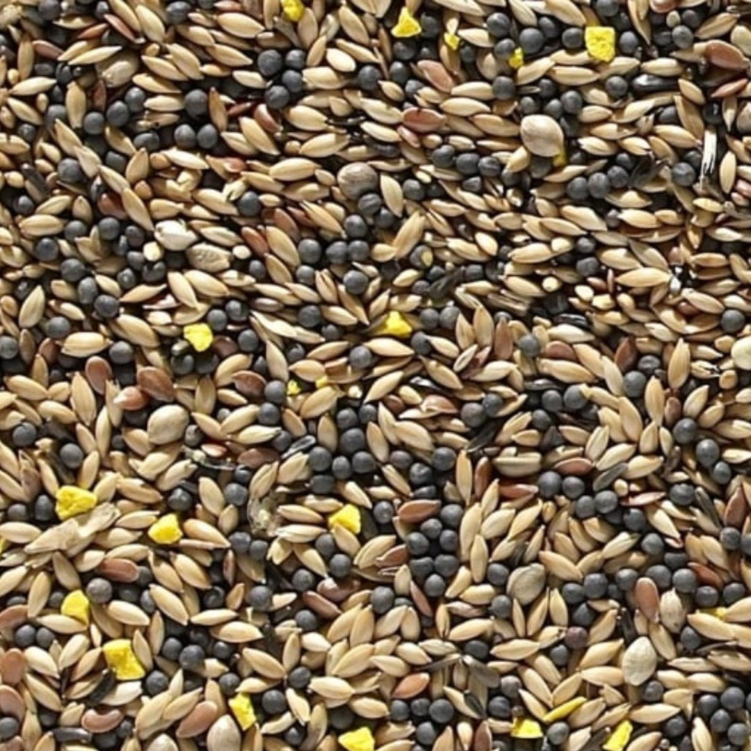 Nature's Best Canary Seed 1kg