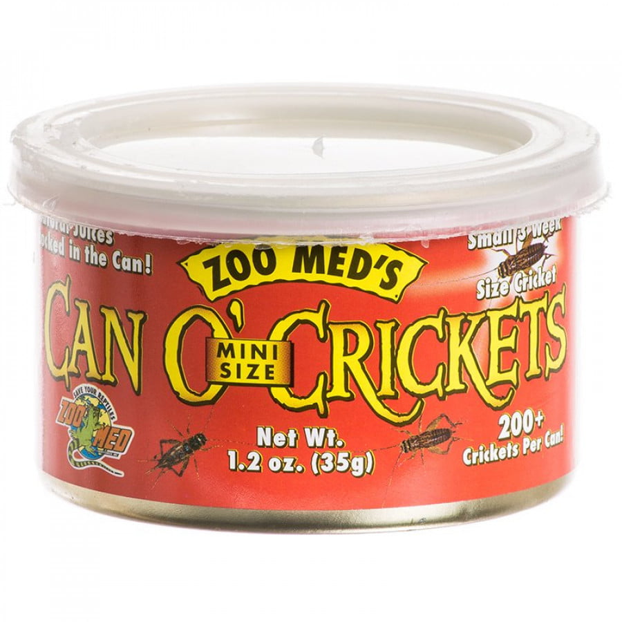 canned mini crickets