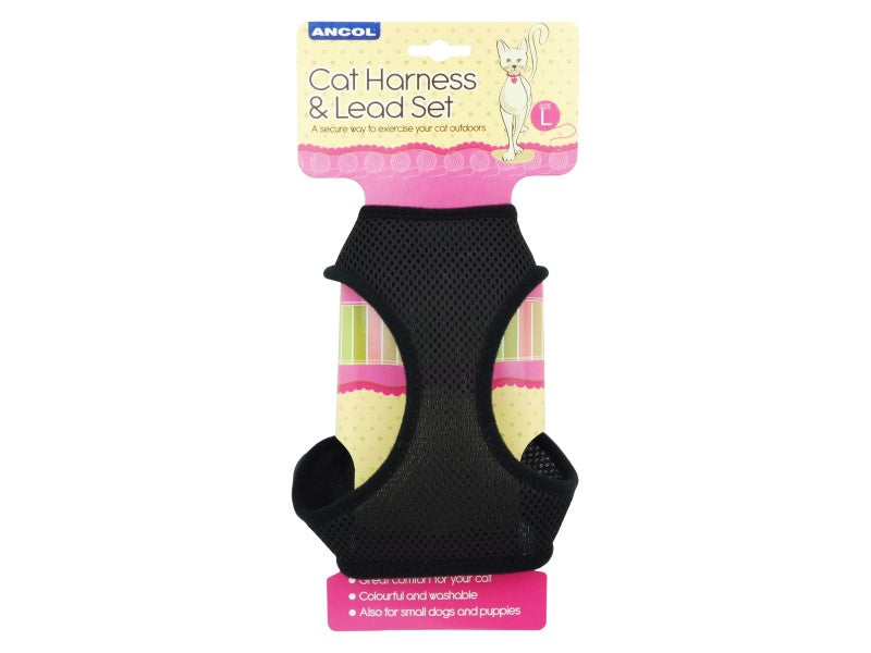 cat lead and harness
