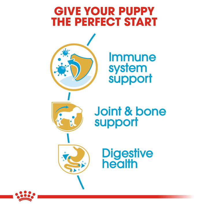 Royal Canin Dachshund Puppy benefits: immune system support, joint and bone support, digestive health