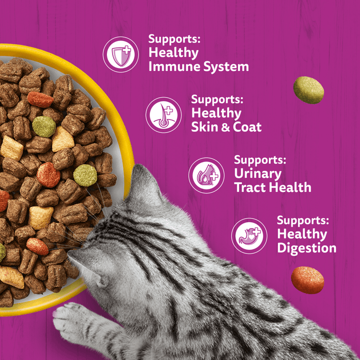 Whiskas 1+ Adult dry food benefits: immune system, skin and coat, urinary tract, digestion