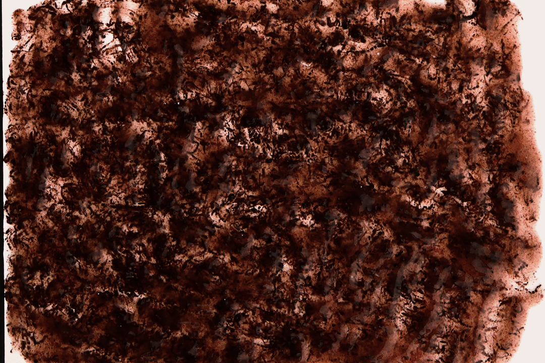 Tetra FreshDelica Bloodworms
