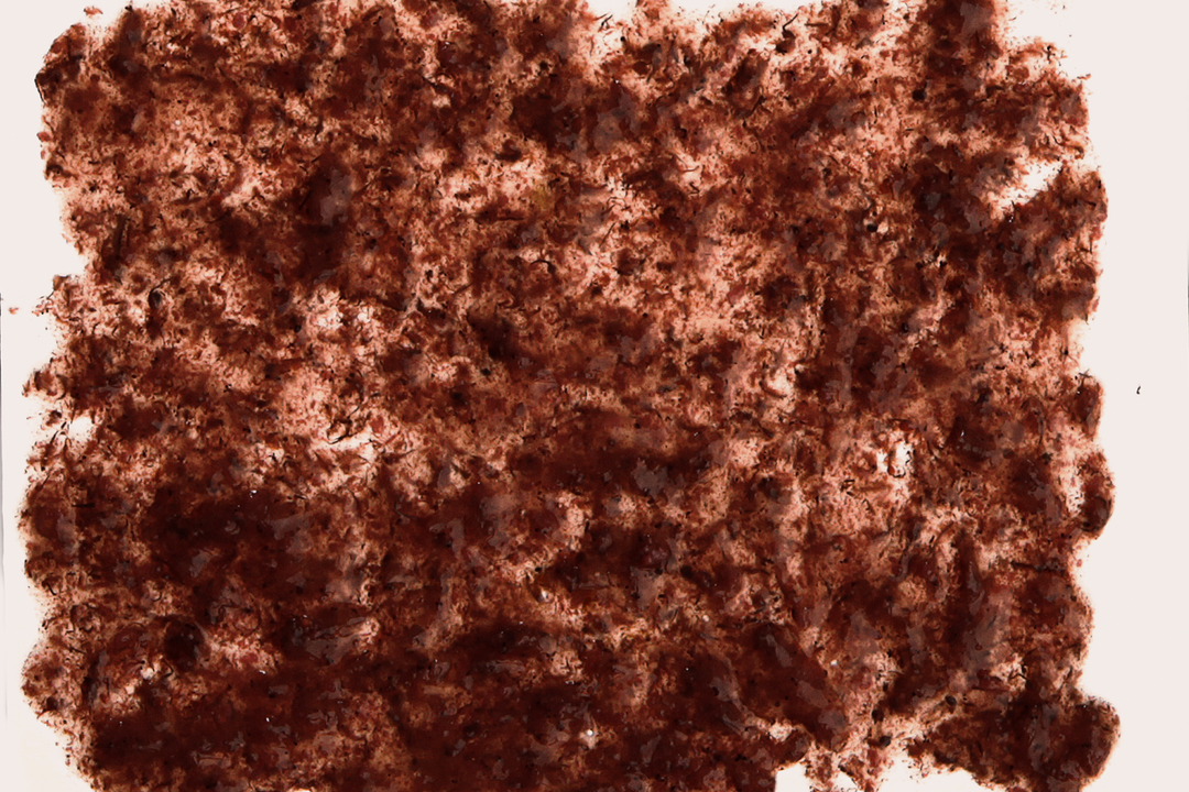 Tetra FreshDelica Brine Shrimps