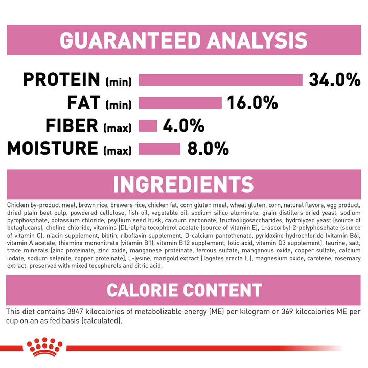 Royal Canin Kitten Dry Cat Food - PetWorld