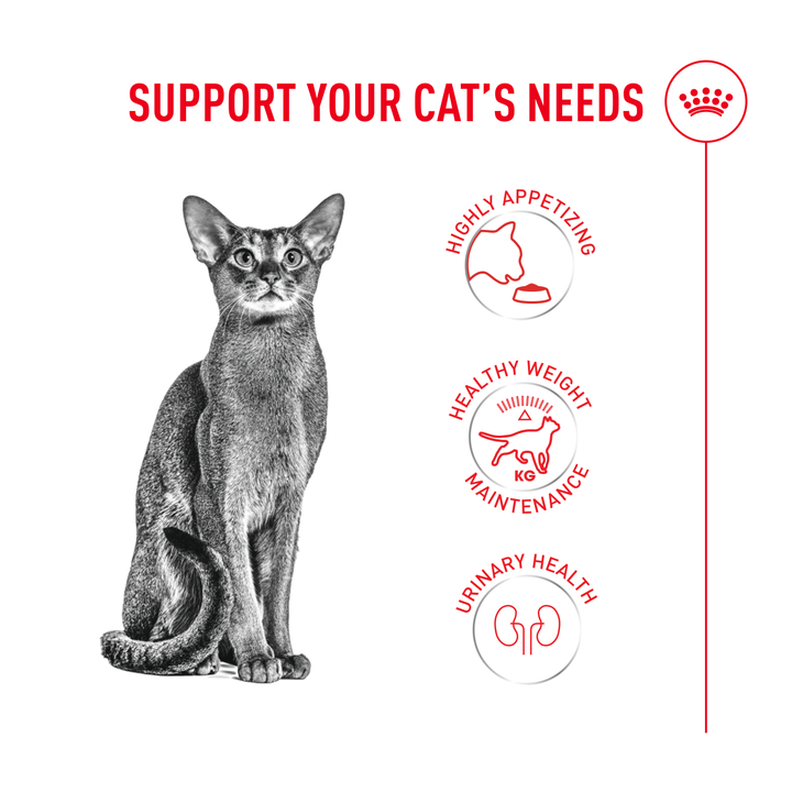 Royal Canin Fussy benefits: highly appetising, healthy weight maintenance, urinary health