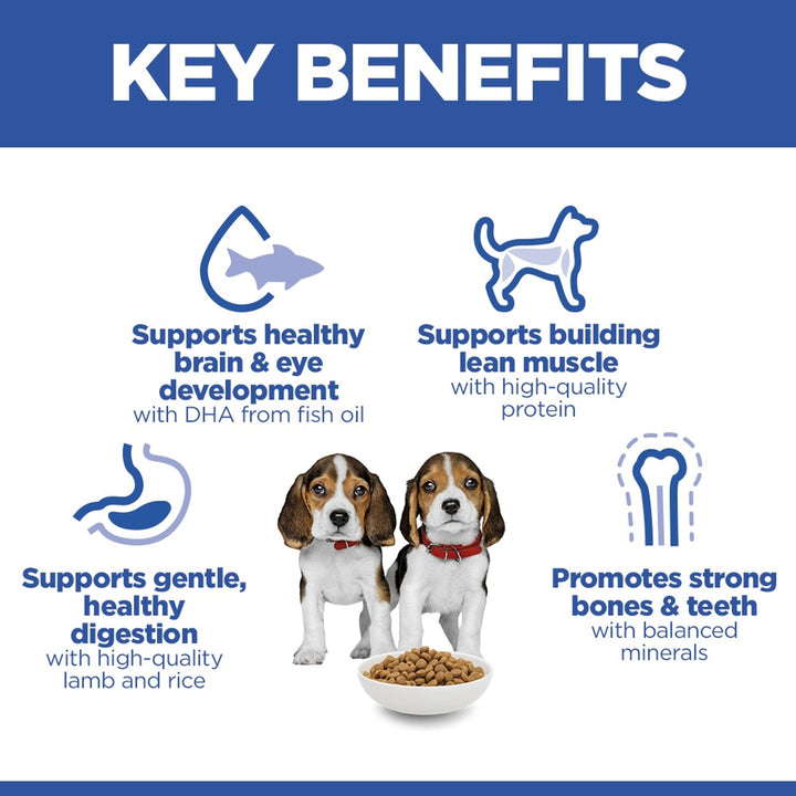 Hill's Science Plan Puppy Medium Lamb & Rice key benefits: DHA, lean muscle, digestion, bones and teeth
