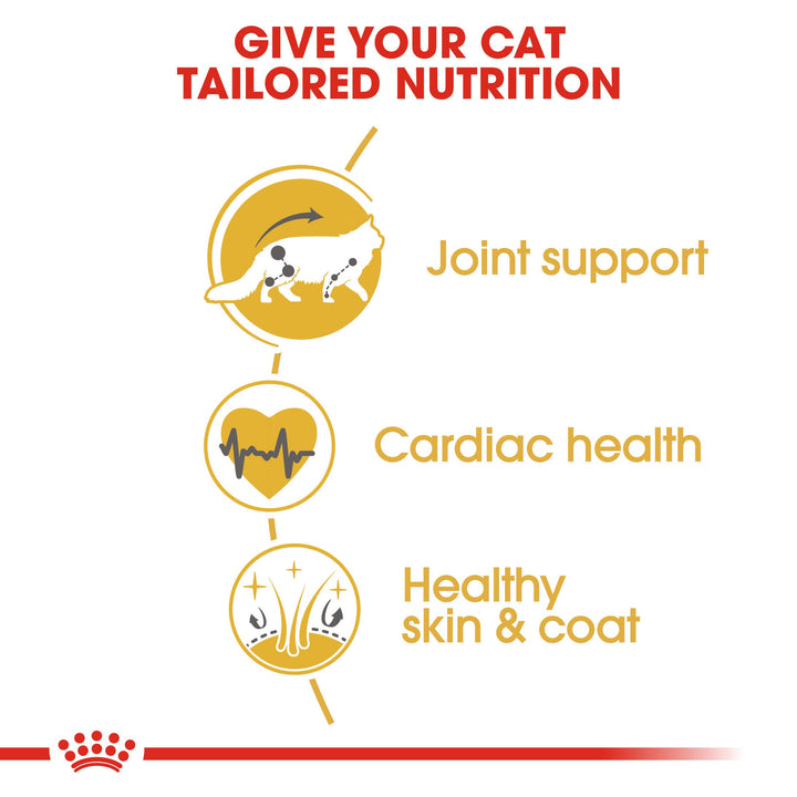 Royal Canin Maine Coon Adult benefits: joint support, cardiac health, healthy skin and coat