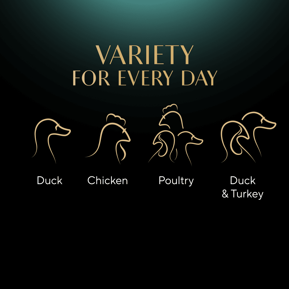 Sheba Fine Flakes Poultry Selection variety graphic showing the duck, chicken, poultry and turkey recipes