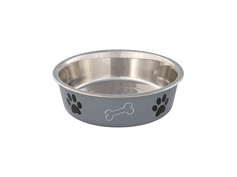 dog bowl with paw print