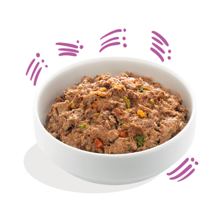 Game meat dog food in bowl


