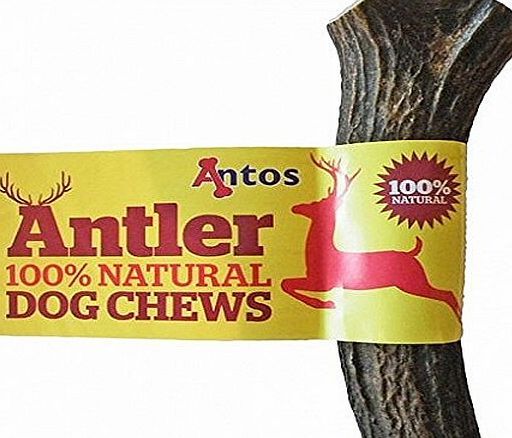 Antler Natural Dog Chew Small