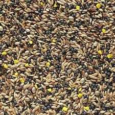 Canary Seed 20kg - PetWorld