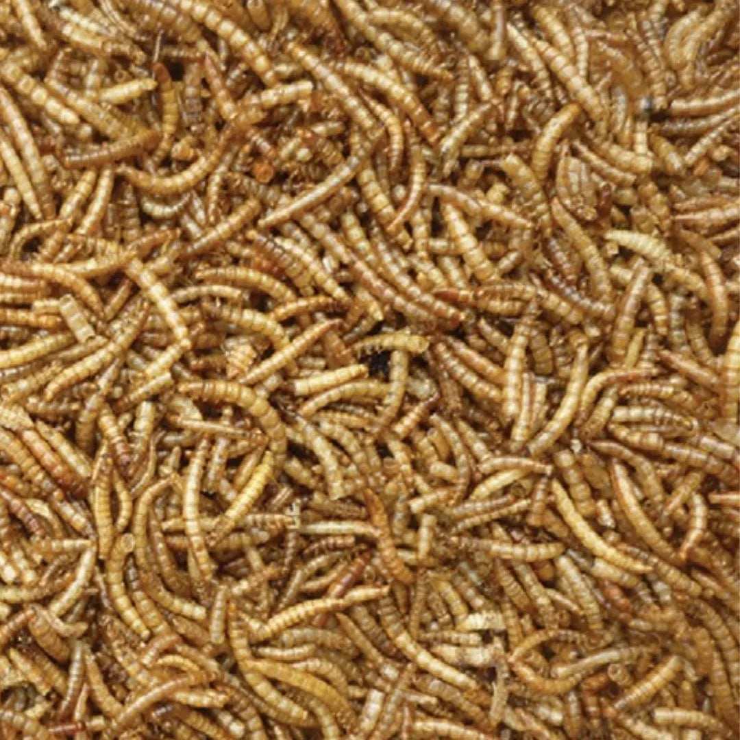 Select Seeds Dried Mealworm 1 litre