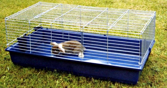 Rabbit Home For Indoor & Outdoor – 100cm