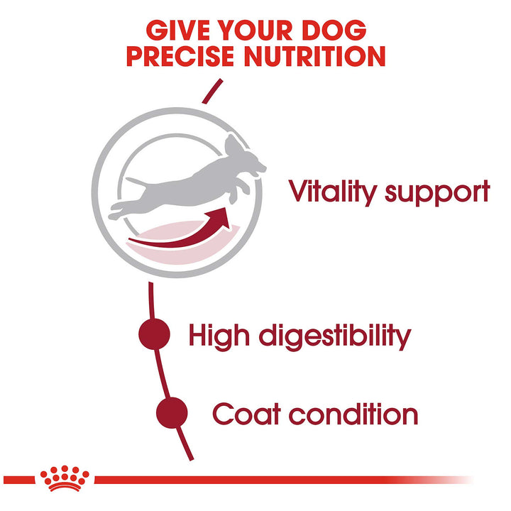 Royal Canin Medium Adult 7+ Dog Food - PetWorld