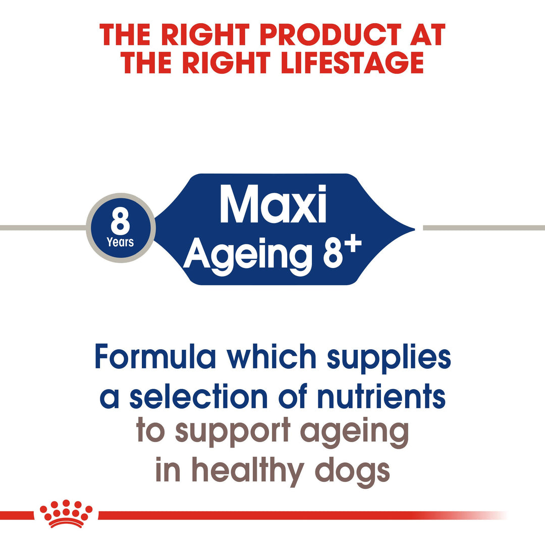 Royal Canin Maxi Ageing 8+ lifestage guide for large dogs over 8 years