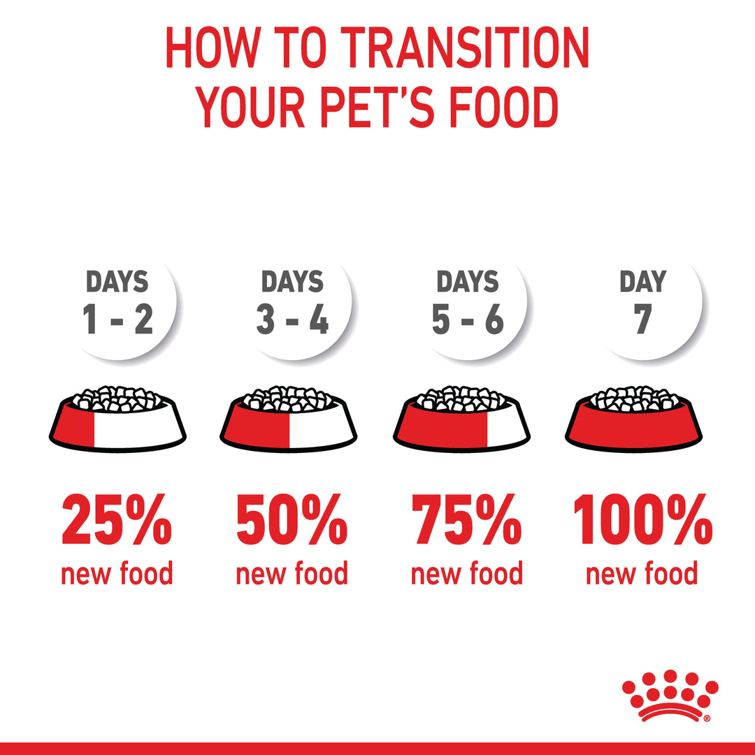 Royal Canin guide to transitioning your dog to a new food over 7 days