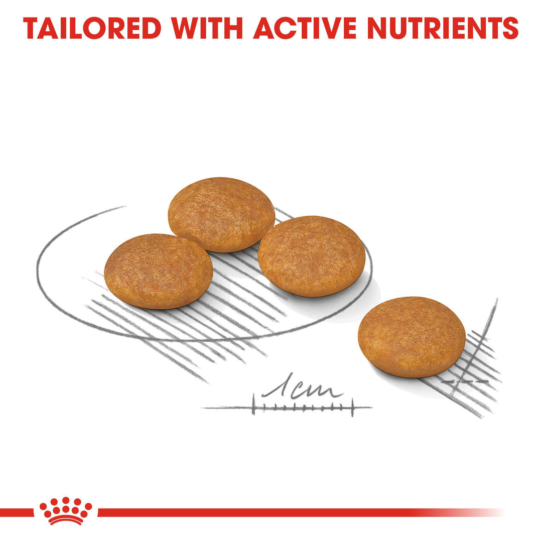 Royal Canin Mini Dermacomfort kibble tailored with active nutrients