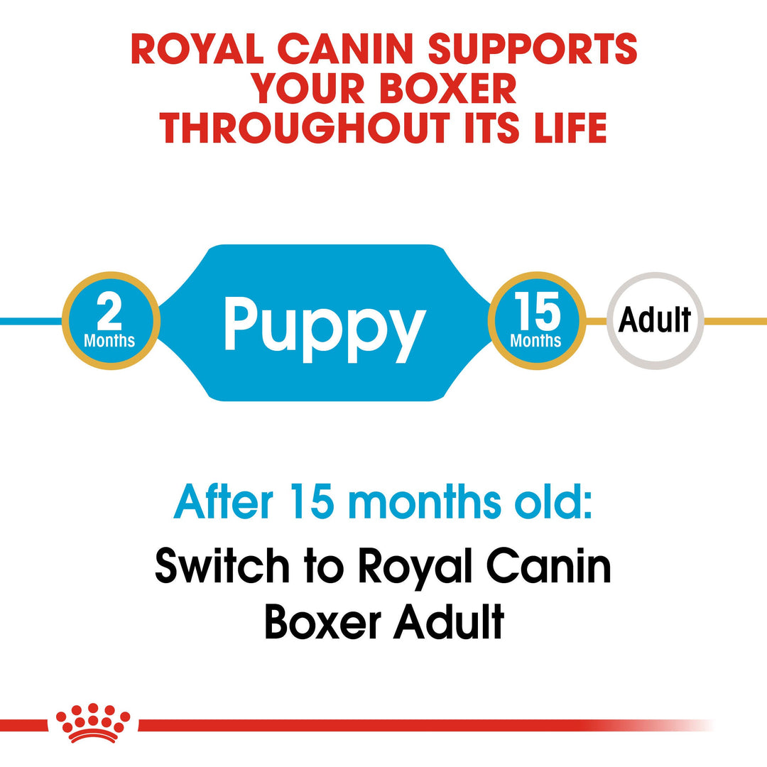 Royal Canin Boxer Puppy from 2 to 15 months, then switch to Boxer Adult