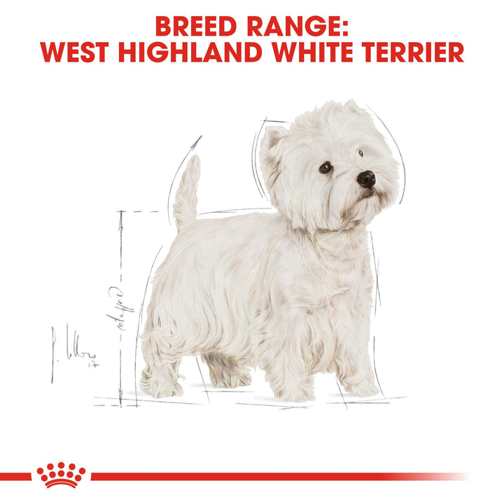 Royal Canin breed range: West Highland White Terrier